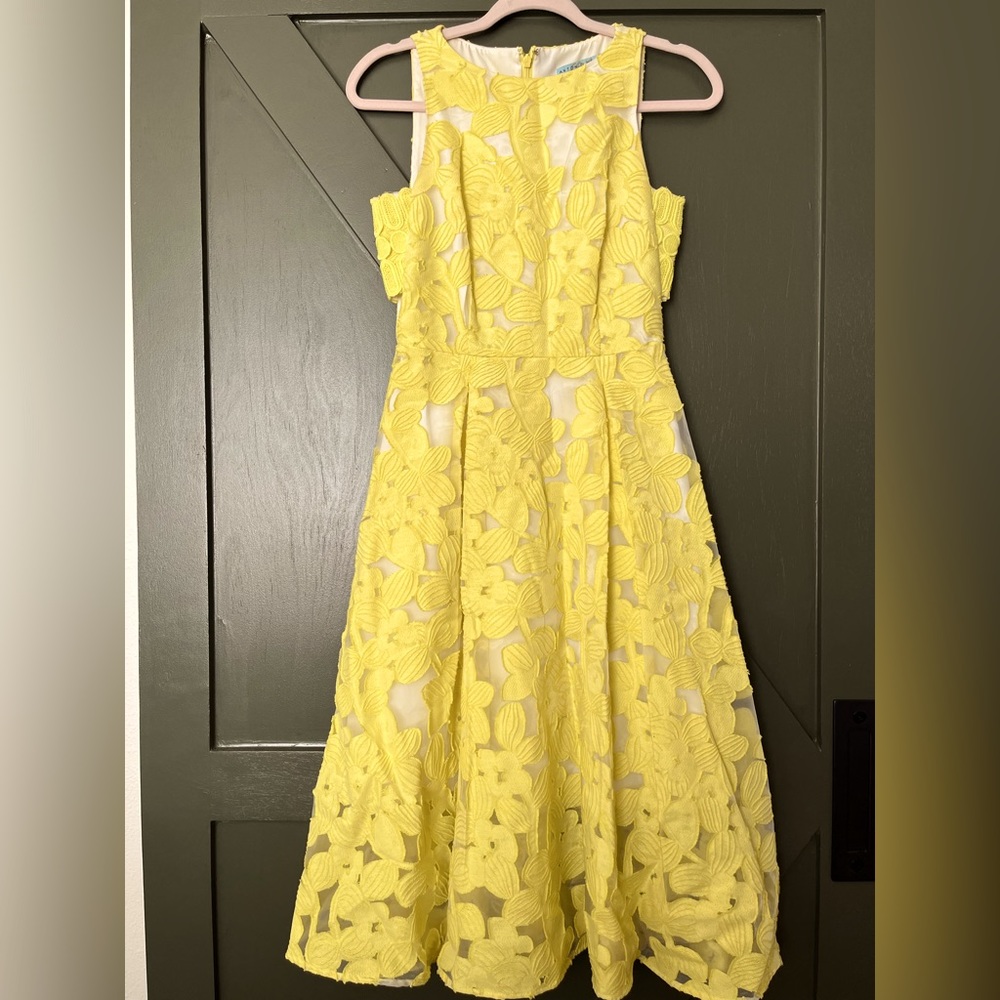 Antonio Melani Leta Organza Jacquard lace midi dress - Picture 2 of 6